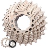 8 Speed-11-25T