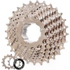 10 Speed-11-28T
