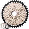 10 Speed-11-42T