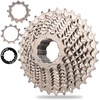 11 Speed-11-36T