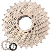 8 Speed-11-28T