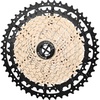 12 Speed-11-50T