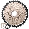 11 Speed-11-42T