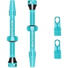 image:imageBUCKLOS Tubeless Presta Valve Stem 404455606580100 mm Valve Stem Kit with Valve Core Removal Tool for Road BikeMountain BikeMTB Fit Most Bicycle Rims Super Light Durable Aluminum Stem BlackTurquoise