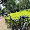 image:imageBUCKLOS Mountain Bike MTB Handlebars 254318mm  20305090100120160mm Rise Aluminum Alloy Handlebar  720780mm Extra Long Bicycle Riser HandleBars for EBike Folding Bike Downhill Racing318mm780mm120mm