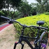 image:imageBUCKLOS Mountain Bike MTB Handlebars 254318mm  20305090100120160mm Rise Aluminum Alloy Handlebar  720780mm Extra Long Bicycle Riser HandleBars for EBike Folding Bike Downhill Racing318mm720mm30mm
