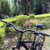 image:imageBUCKLOS Mountain Bike MTB Handlebars 254318mm  20305090100120160mm Rise Aluminum Alloy Handlebar  720780mm Extra Long Bicycle Riser HandleBars for EBike Folding Bike Downhill Racing318mm780mm50mm