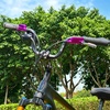 image:imageBUCKLOS Mountain Bike MTB Handlebars 254318mm  20305090100120160mm Rise Aluminum Alloy Handlebar  720780mm Extra Long Bicycle Riser HandleBars for EBike Folding Bike Downhill Racing254mm580mm120mm