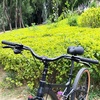 image:imageBUCKLOS Mountain Bike MTB Handlebars 254318mm  20305090100120160mm Rise Aluminum Alloy Handlebar  720780mm Extra Long Bicycle Riser HandleBars for EBike Folding Bike Downhill Racing318mm720mm50mm